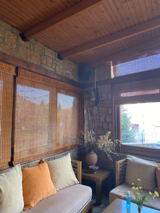 Villa Alexandra غريفينا المظهر الخارجي الصورة